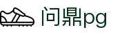问鼎PG官方网站 - 中国官方入口平台